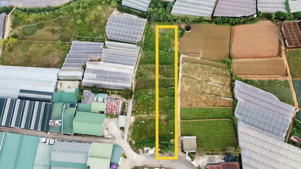 Bán 1101m2 ĐẤT MẶT TIỀN đường Trịnh Hoài Đức - Nam Hồ, P11, Đà Lạt, VIEW ĐẸP - Ảnh 2